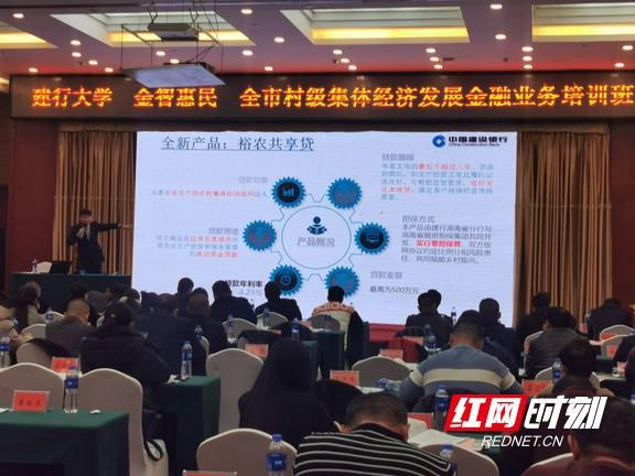 益阳市举办村级集体经济发展金融业务培训班，助力乡村振兴